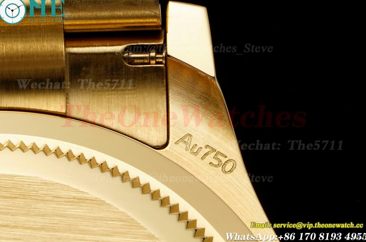 SH4131 Weight) Black Daytona 40mm YG 126508 YG Dia (Gain QF 0521